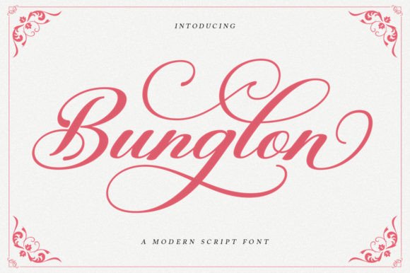 Bunglon Script: Casual Elegance Meets Modern Versatility