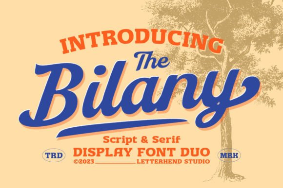 The Bilany: A Vintage-Inspired Font Duo That Just Works